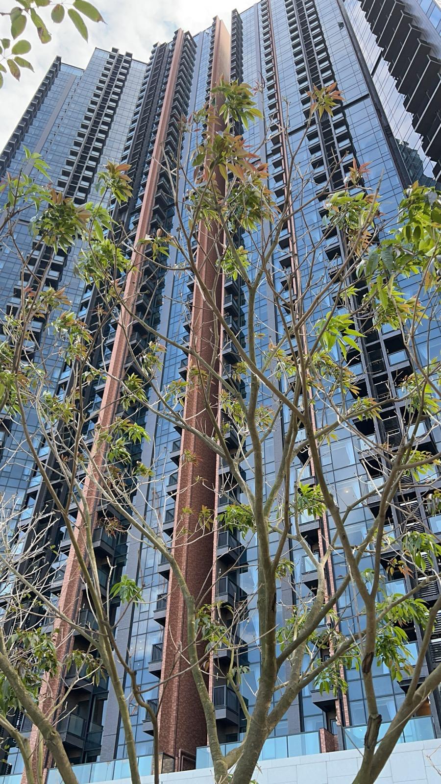 whatsapp-image-2025-08-16-at-162622